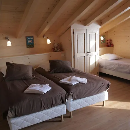 Chalet Le Grand-bornand, 5 Pièces, 10 Personnes - Fr-1-467-71 *